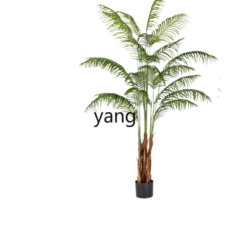 LH plant fake tree indoor living room bionic green plant potted plant landscaping view decoration
LH plant fake tree indoor living room bionic green plant potted plant landscaping view decoration