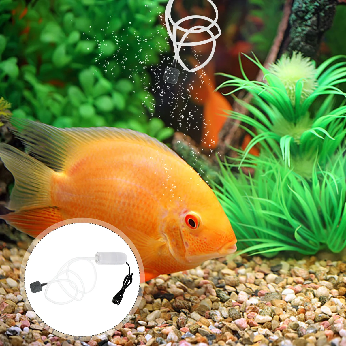 for Fish Tank Aquarium Mini Air USB Aerator Lightweight Portable Increase Oxygen Pet Fish Plants Different Sizes USB Oxygen Pump
for Fish Tank Aquarium Mini Air USB Aerator Lightweight Portable Increase Oxygen Pet Fish Plants Different Sizes USB Oxygen Pump