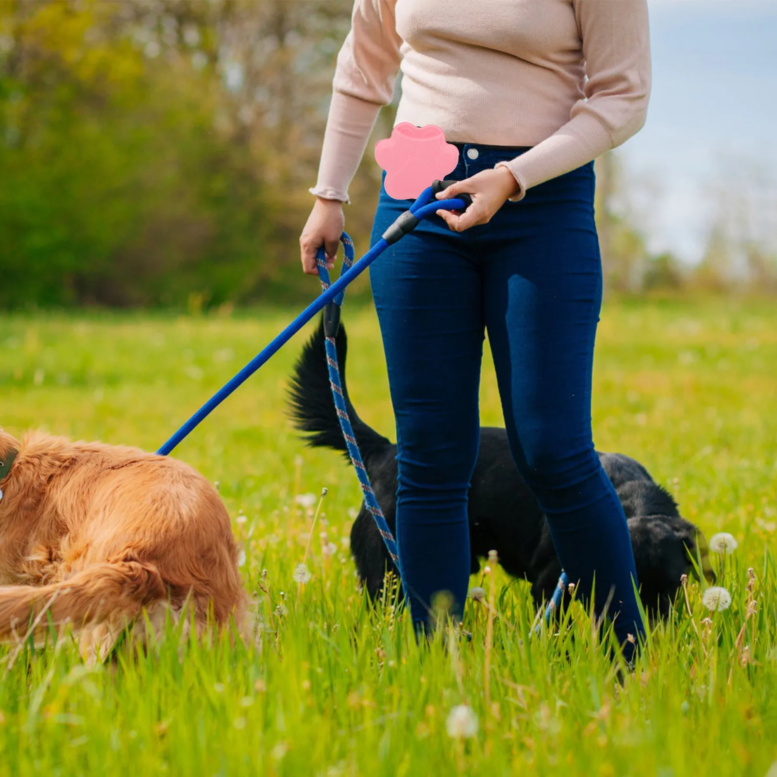 Portable Pack Dog Treat Bag Food Pouch Silicone Container Outdoor Puppy Training Accessories Toy Storage
Portable Pack Dog Treat Bag Food Pouch Silicone Container Outdoor Puppy Training Accessories Toy Storage