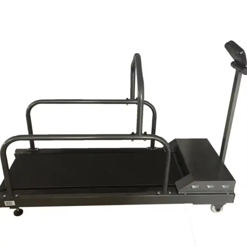 Small Dog Treadmill Automatic Eco-Friendly Oxford Cloth Steel Pipe Dog Walking Training
Small Dog Treadmill Automatic Eco-Friendly Oxford Cloth Steel Pipe Dog Walking Training
