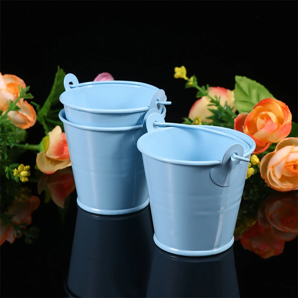 4Pcs Iron Buckets Retro Flower Pots for Plants Decor Mini Tin Pails Planters Vintage Metal Bucket with Handle
4Pcs Iron Buckets Retro Flower Pots for Plants Decor Mini Tin Pails Planters Vintage Metal Bucket with Handle
