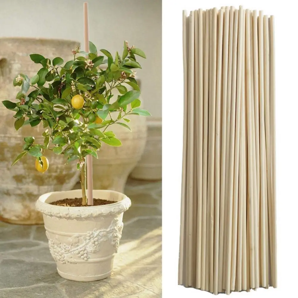 50Pcs 20cm Bamboo Plant Grow Support Sticks Garden Potted Flower Canes Tools Stand Butterflies Orchid Flower Potted Fixing Rods
50Pcs 20cm Bamboo Plant Grow Support Sticks Garden Potted Flower Canes Tools Stand Butterflies Orchid Flower Potted Fixing Rods