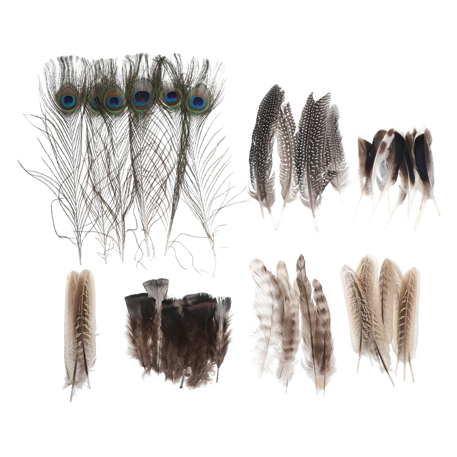 6 Pcs Natural Jewelry Spotted Plumes Dream Catcher Colored Decorations Lightweight DIY Wedding Props
6 Pcs Natural Jewelry Spotted Plumes Dream Catcher Colored Decorations Lightweight DIY Wedding Props