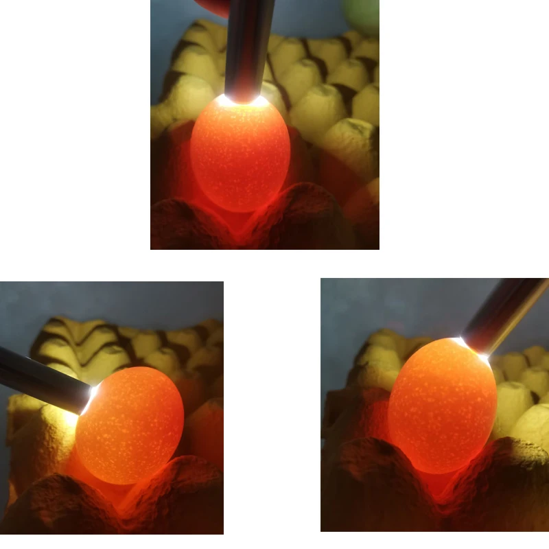 Pet Egg Candle Light USB LED Flashlight for Bird and Poultry Breeding, Egg Development Inspection Flashlight
Pet Egg Candle Light USB LED Flashlight for Bird and Poultry Breeding, Egg Development Inspection Flashlight