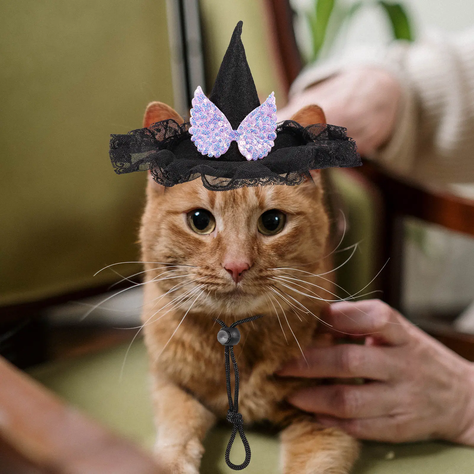 Очаровательная шляпа на Хэллоуин для домашних животных: дышащий нетканый материал, легко надевается, идеально подходит для собак и кошек, украшение для вечеринок, реквизит для фотосессий, праздничный аксессуар
Очаровательная шляпа на Хэллоуин для домашних животных: дышащий нетканый материал, легко надевается, идеально подходит для собак и кошек, украшение для вечеринок, реквизит для фотосессий, праздничный аксессуар