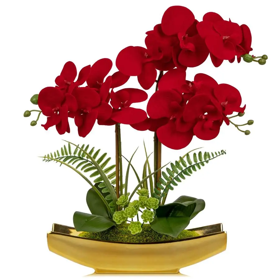 Orchid Artificial Flowers 17 Silk Red Orchid Floral Arrangement with Gold Pot Real Touch Faux Orchid Plant for Home Office Room
Orchid Artificial Flowers 17 Silk Red Orchid Floral Arrangement with Gold Pot Real Touch Faux Orchid Plant for Home Office Room