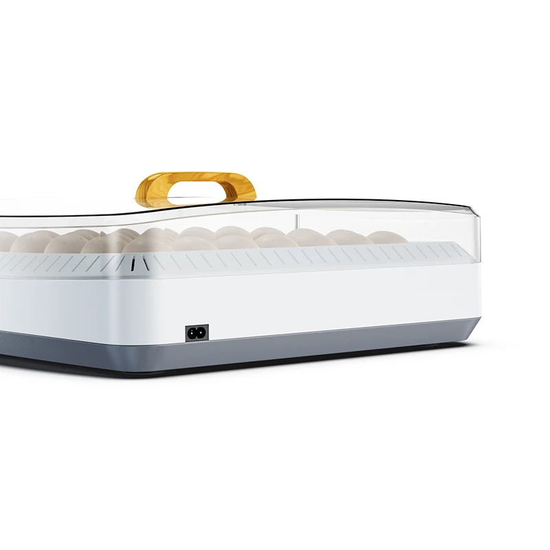Incubator Set Bird Incubator Hatcher Egg Hatching Tray Tuner High Hatching Rate 35 Eggs
Incubator Set Bird Incubator Hatcher Egg Hatching Tray Tuner High Hatching Rate 35 Eggs