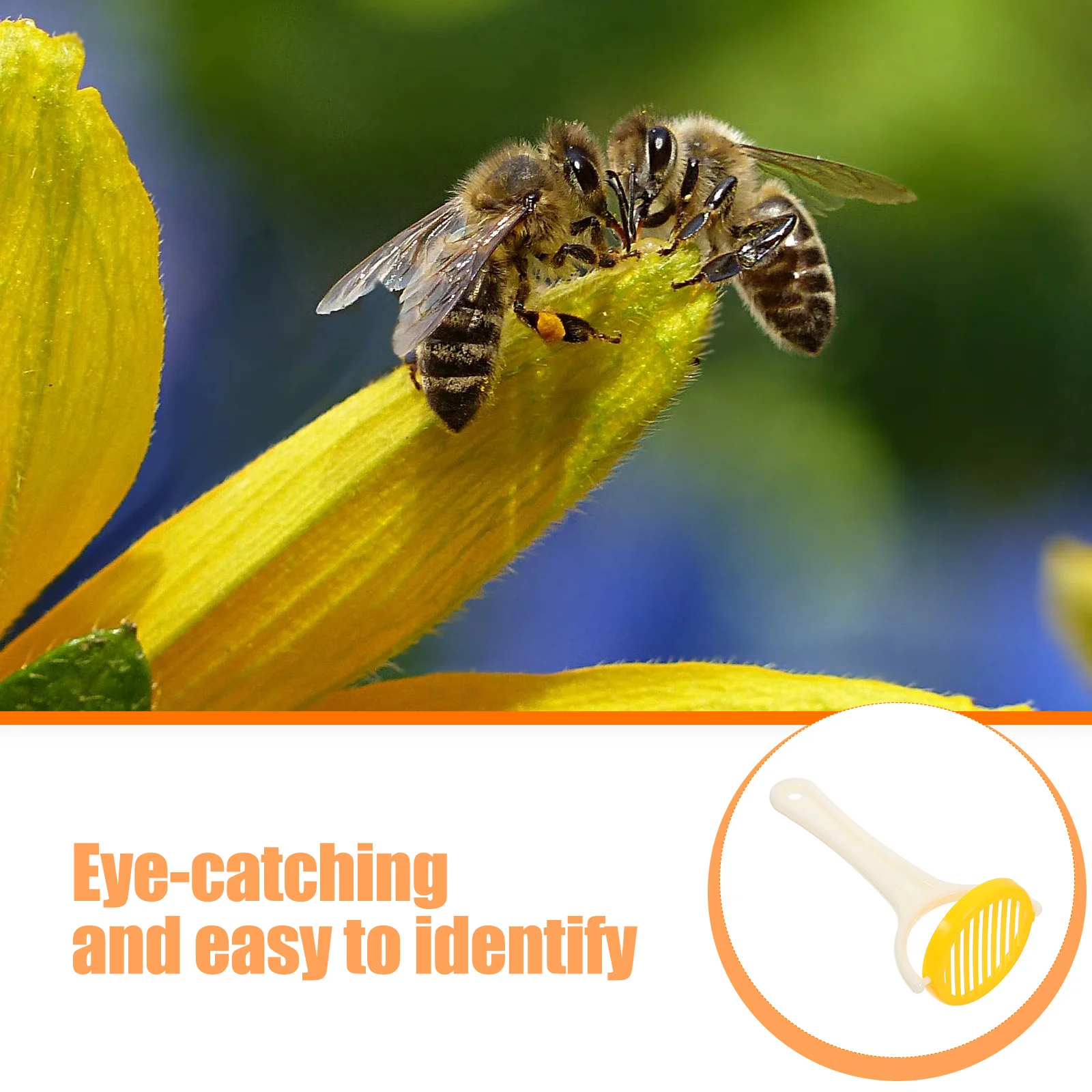 Bright Foldable Handheld Bee Queen Marking Catcher Portable Plastic Beekeeping Equipment Bee Keeping Supplies Tool
Bright Foldable Handheld Bee Queen Marking Catcher Portable Plastic Beekeeping Equipment Bee Keeping Supplies Tool