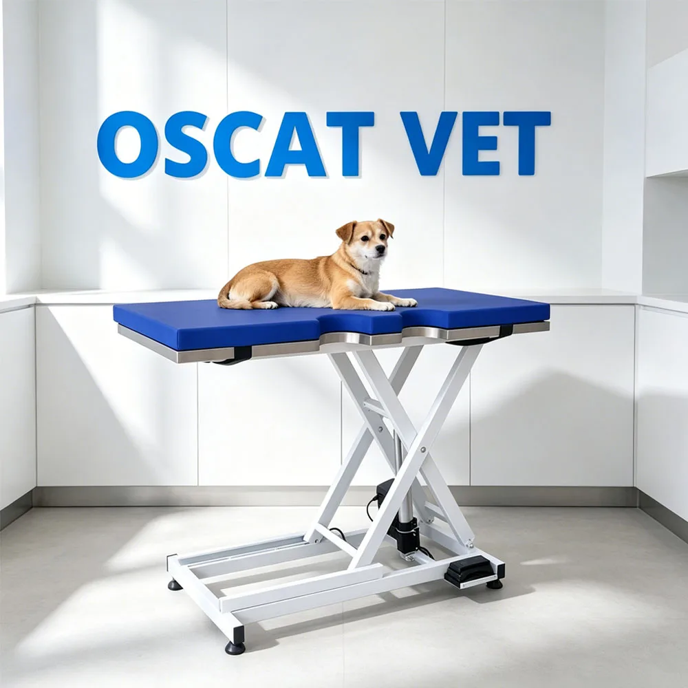 Veterinary Equipment Electric Lift Table 304 Stainless Steel Height Examination Table with Mat Dogs Clinic
Veterinary Equipment Electric Lift Table 304 Stainless Steel Height Examination Table with Mat Dogs Clinic