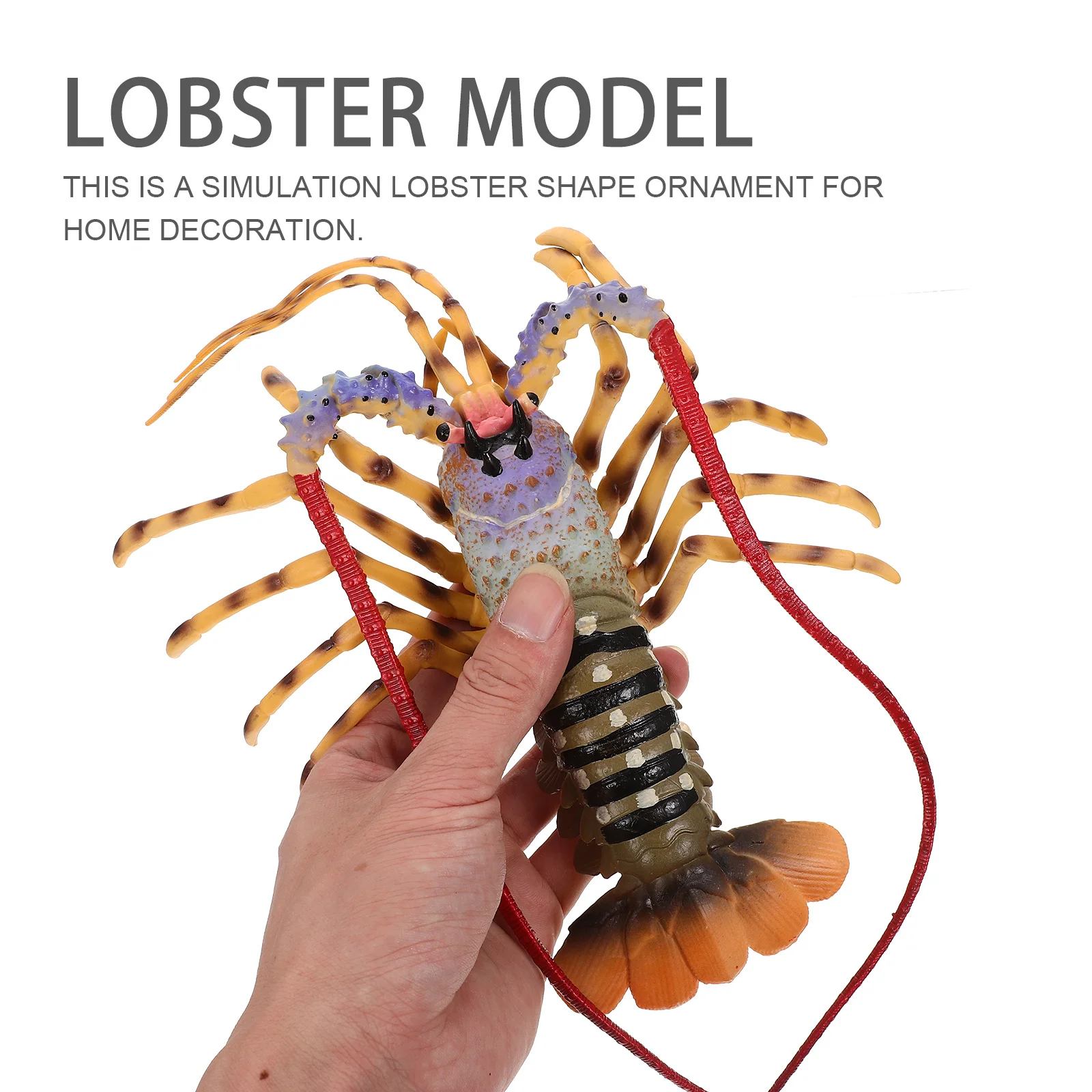 Simulation Lobster Adornment Premium Plastic Realistic Desktop Decoration for Home Kids Educational Play Natural Vivid
Simulation Lobster Adornment Premium Plastic Realistic Desktop Decoration for Home Kids Educational Play Natural Vivid