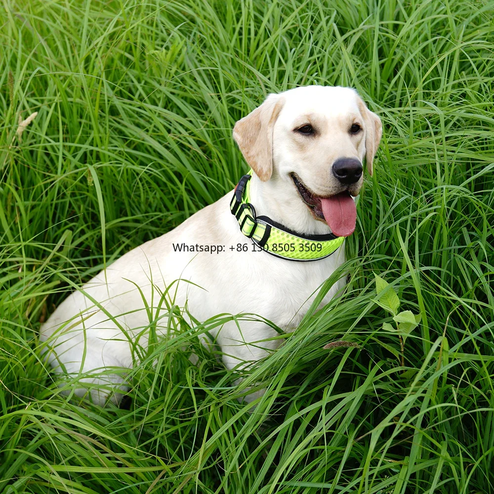 10pcs Manufacturer Wholesale Breathable Dog Collar with Reflective Light Strip
10pcs Manufacturer Wholesale Breathable Dog Collar with Reflective Light Strip