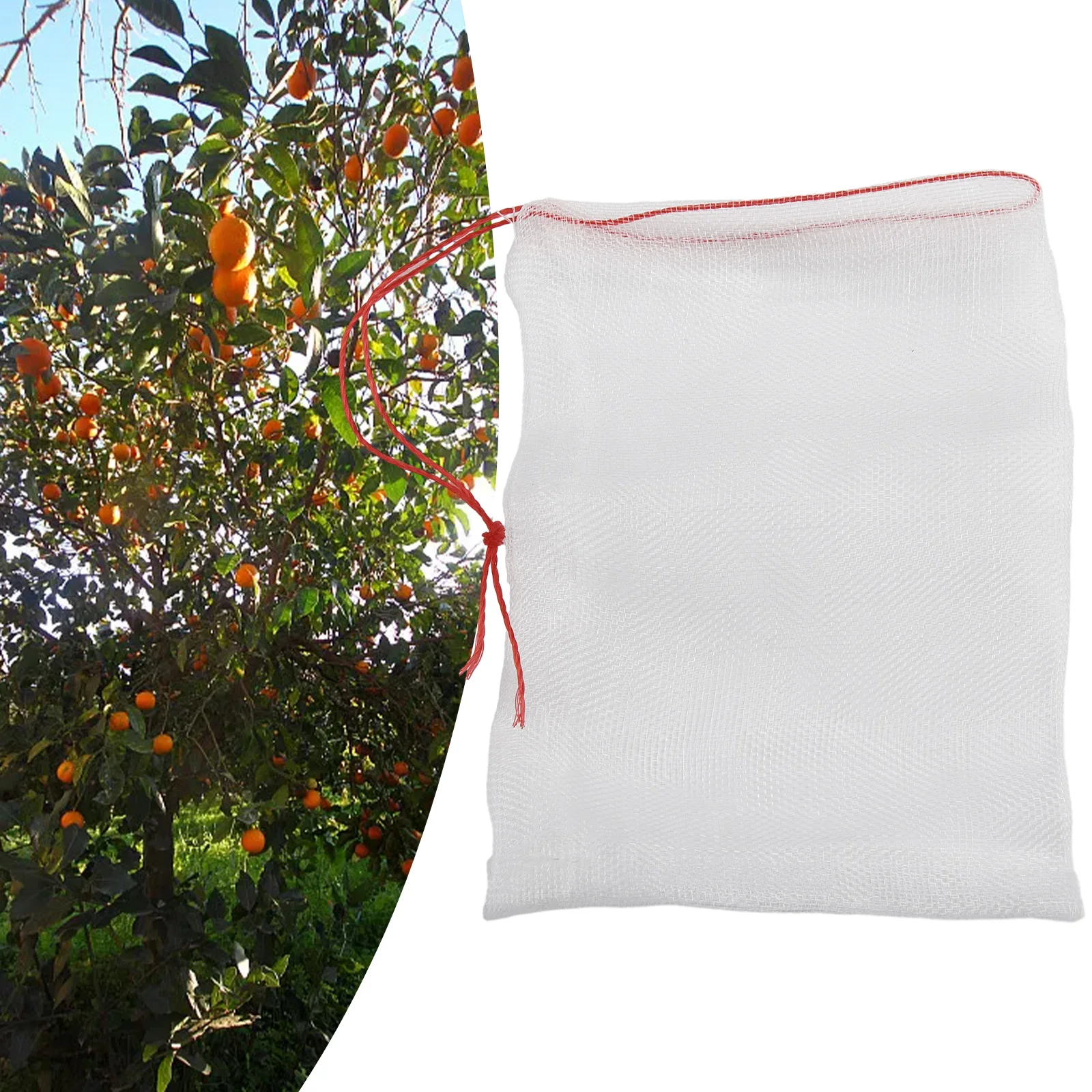 Grapes Fruit Protect Bag Insect Bag Mesh Bag Nylon Net Bag Pest Control Breathable Durable Easy To Clean Eggplants Garden Tool
Grapes Fruit Protect Bag Insect Bag Mesh Bag Nylon Net Bag Pest Control Breathable Durable Easy To Clean Eggplants Garden Tool