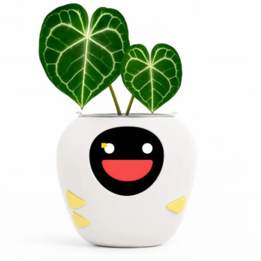 New 2026 Ai Smart Planter Extra Large Interactive Plant Pot, Pet Plantagotchi, robot, Leafypod and Plantiboy, Robot Flower Pot
New 2026 Ai Smart Planter Extra Large Interactive Plant Pot, Pet Plantagotchi, robot, Leafypod and Plantiboy, Robot Flower Pot