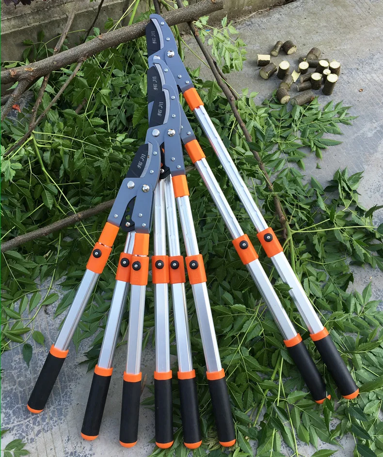 Garden flowers and trees greening thick branch shears aluminum alloy telescopic shears horticultural greening hedge shears
Garden flowers and trees greening thick branch shears aluminum alloy telescopic shears horticultural greening hedge shears
