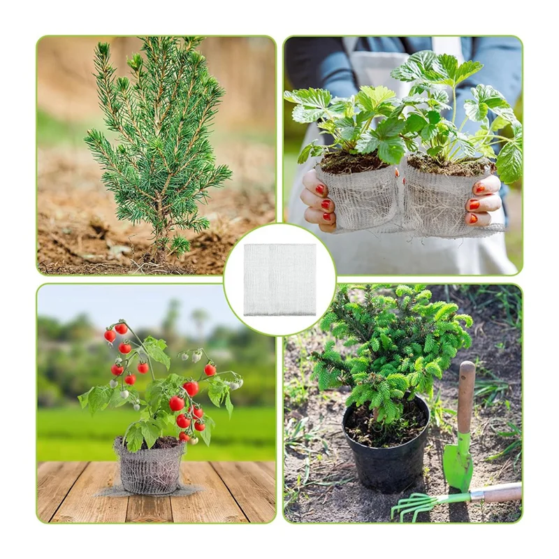 AEA4-8 Packs Root Stainless Steel Guard Baskets For Protects Plant Root From Gophers Moles Voles Damage Root
AEA4-8 Packs Root Stainless Steel Guard Baskets For Protects Plant Root From Gophers Moles Voles Damage Root