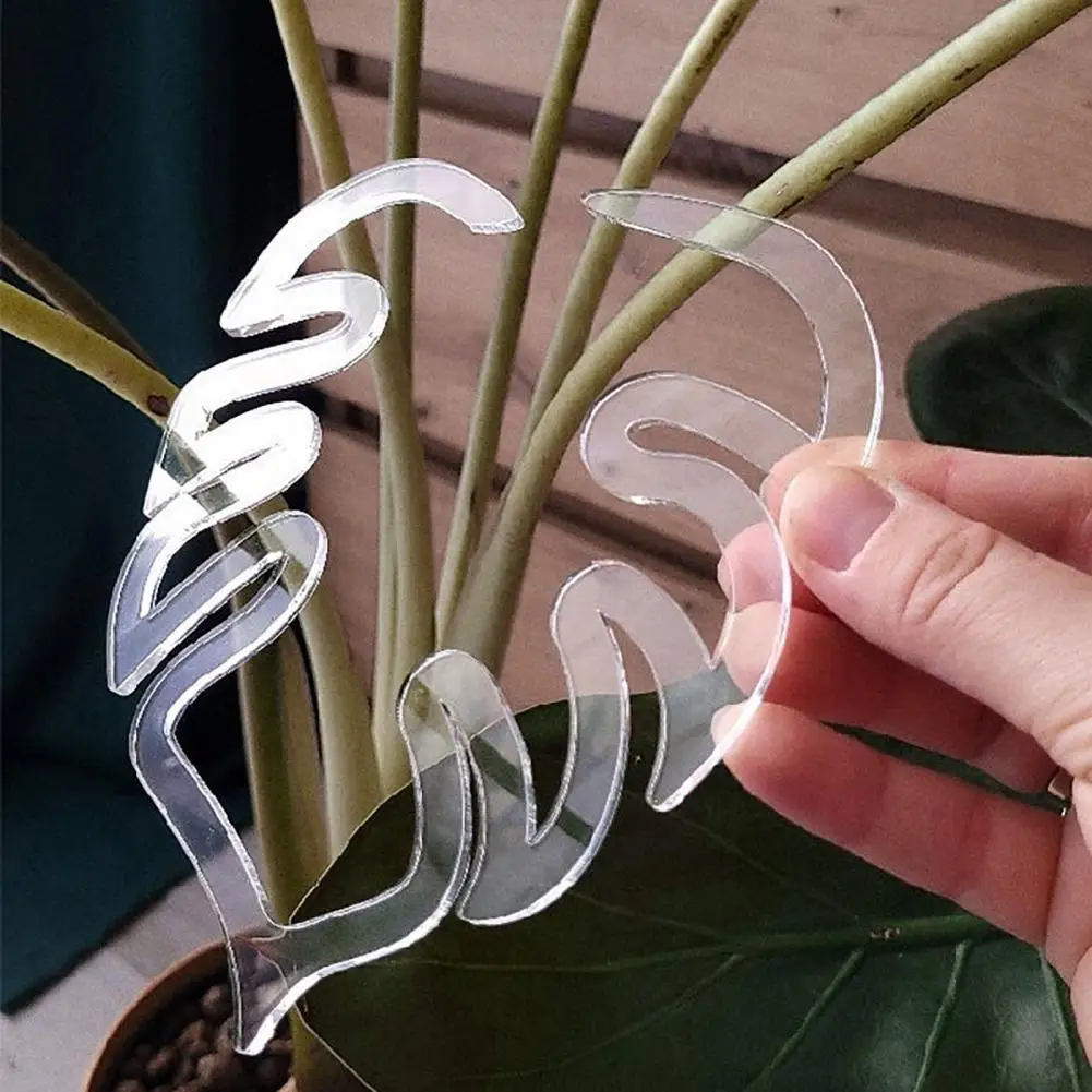 2Pcs 12*10cm Monstera Grapple Plant Support Stakes Plastic Stand Leaf Holder Monstera Plant Stem Support For Flowers Vegetables
2Pcs 12*10cm Monstera Grapple Plant Support Stakes Plastic Stand Leaf Holder Monstera Plant Stem Support For Flowers Vegetables