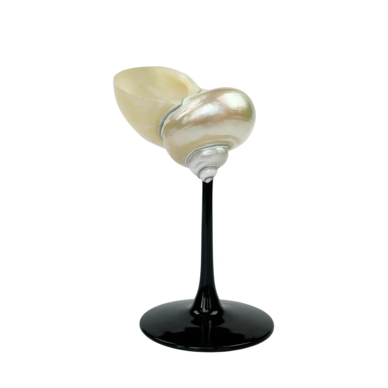 *Light luxury creative personality pearl shell cup conch cup goblet girls ornament gift
*Light luxury creative personality pearl shell cup conch cup goblet girls ornament gift