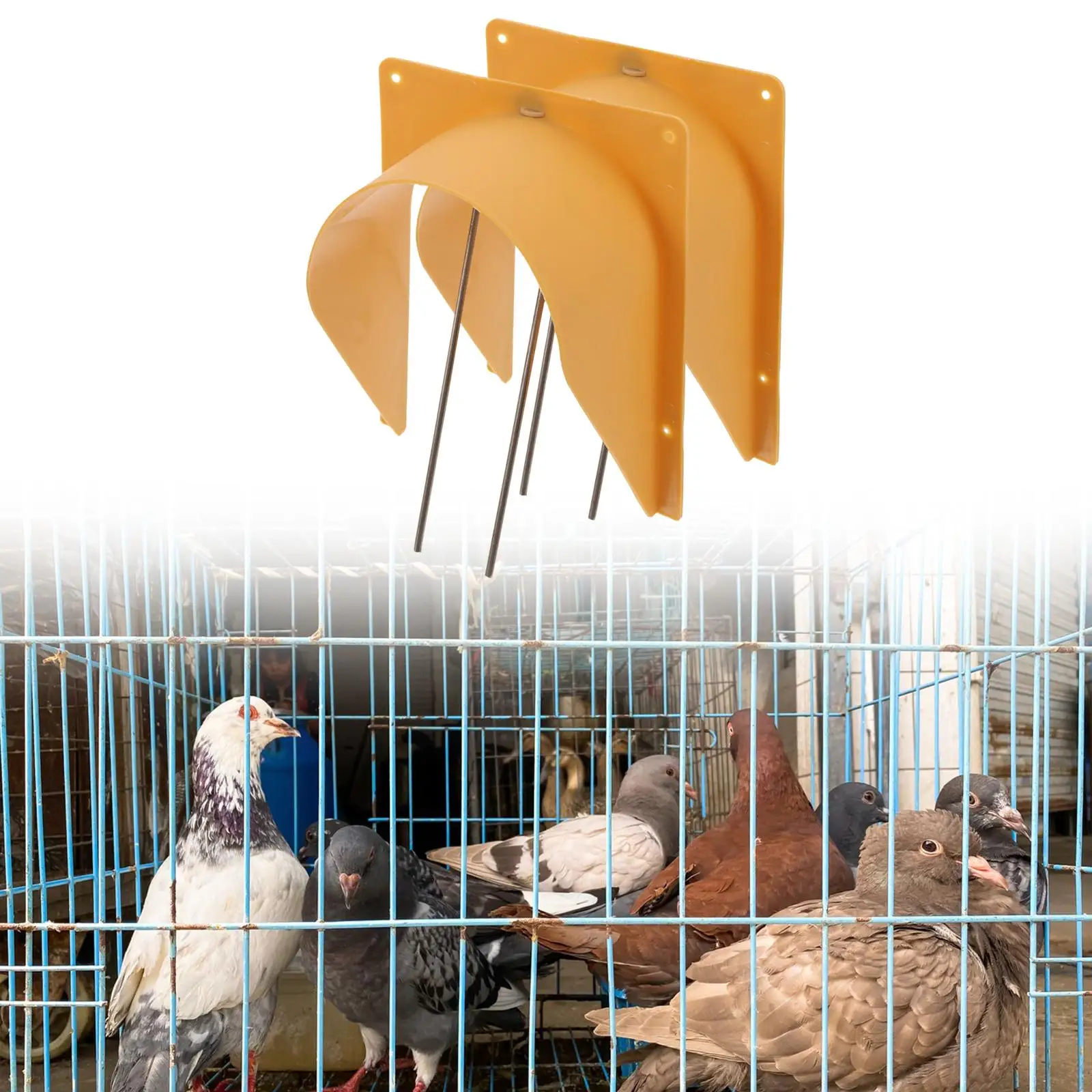 2Pcs Pigeon House Door,European,Rust Resistant,Bird Cage House Door Pigeon Supplies for Flying Pigeon Pigeon Nest Cage
2Pcs Pigeon House Door,European,Rust Resistant,Bird Cage House Door Pigeon Supplies for Flying Pigeon Pigeon Nest Cage