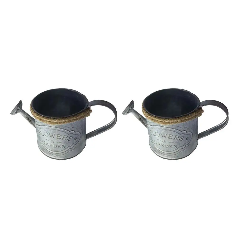 Iron Flower Pot 2 Pcs Garden Bucket Metal Planter Floral Arrangement Container Office Home Decor
Iron Flower Pot 2 Pcs Garden Bucket Metal Planter Floral Arrangement Container Office Home Decor
