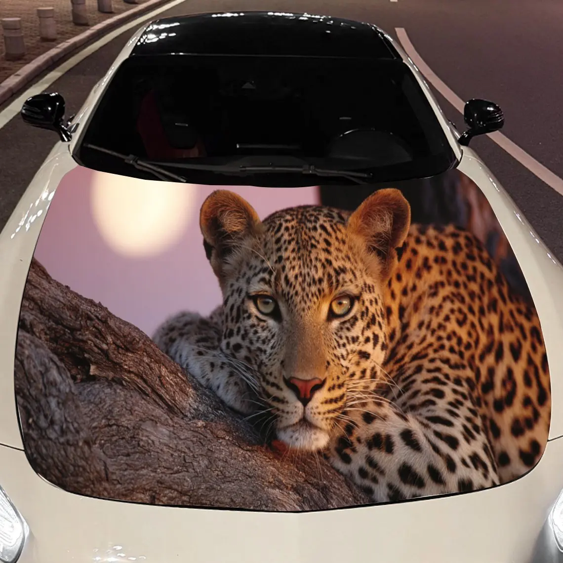 Romantic Sunset Leopard Car Hood Stickers - Self-Adhesive, Waterproof and Durable Vinyl Wrap, Decorate And Protect Your Car, Fit
Romantic Sunset Leopard Car Hood Stickers - Self-Adhesive, Waterproof and Durable Vinyl Wrap, Decorate And Protect Your Car, Fit