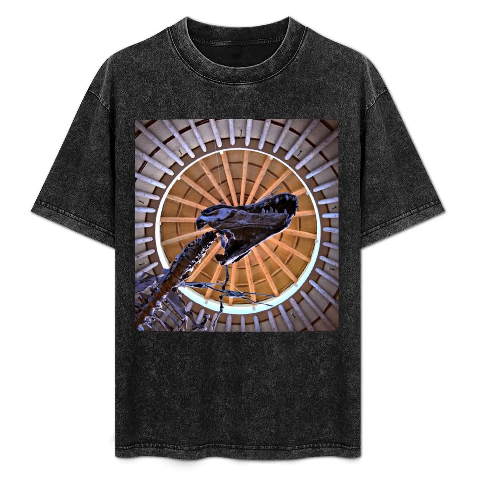 T-Rex From Above T-Shirt Quick Dry Fishing T-Shirt
T-Rex From Above T-Shirt Quick Dry Fishing T-Shirt