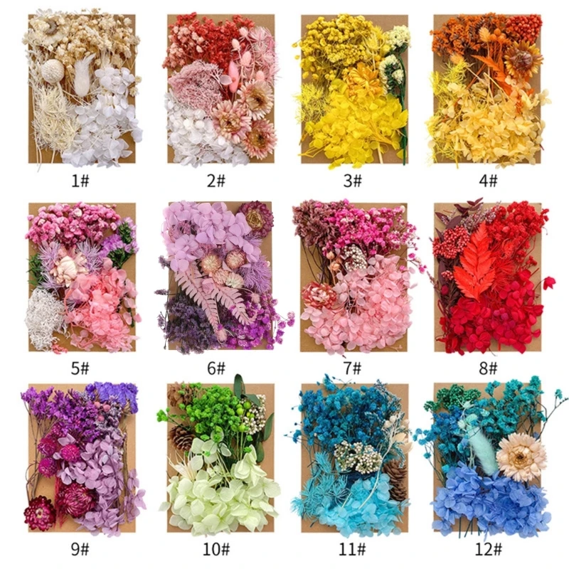 40GB Dried Flower DIY Crafting Materials Dried Flower Assortment Craft Flower Materials for Frame Folding Fan Decors
40GB Dried Flower DIY Crafting Materials Dried Flower Assortment Craft Flower Materials for Frame Folding Fan Decors