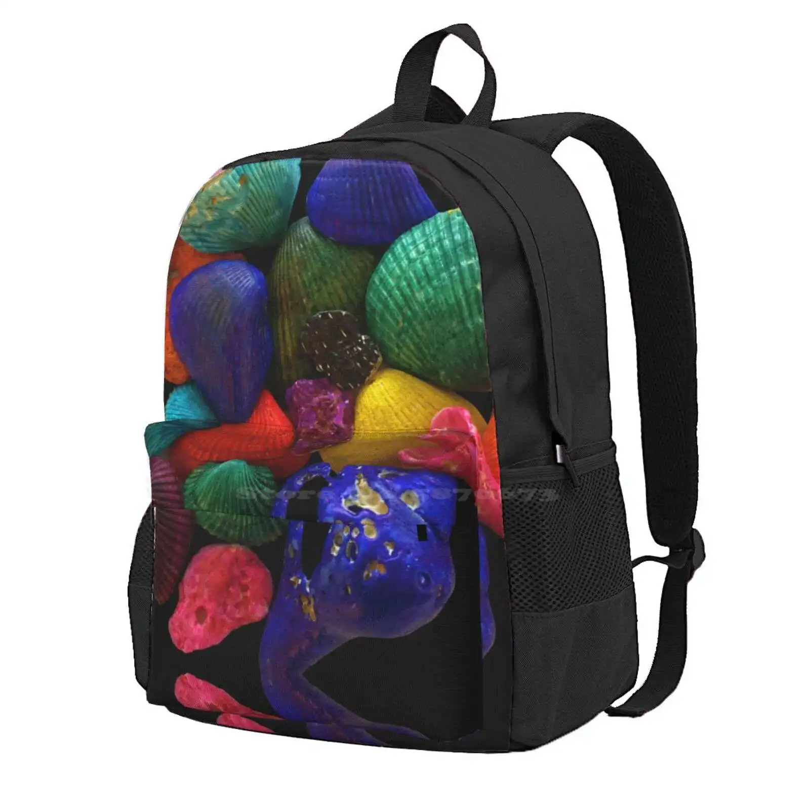 Florida Sea Shells Hot Sale Schoolbag Backpack Fashion Bags Seashells Rainbowcolors
Florida Sea Shells Hot Sale Schoolbag Backpack Fashion Bags Seashells Rainbowcolors