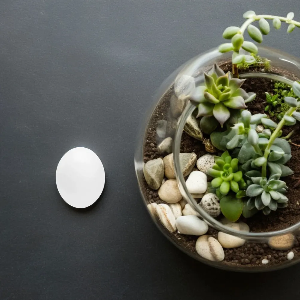 12Pcs Realistic Simulated Bird Eggs Safe Durable for Training Parrots Pigeons Finches Nesting Breeding Cage Decorations
12Pcs Realistic Simulated Bird Eggs Safe Durable for Training Parrots Pigeons Finches Nesting Breeding Cage Decorations