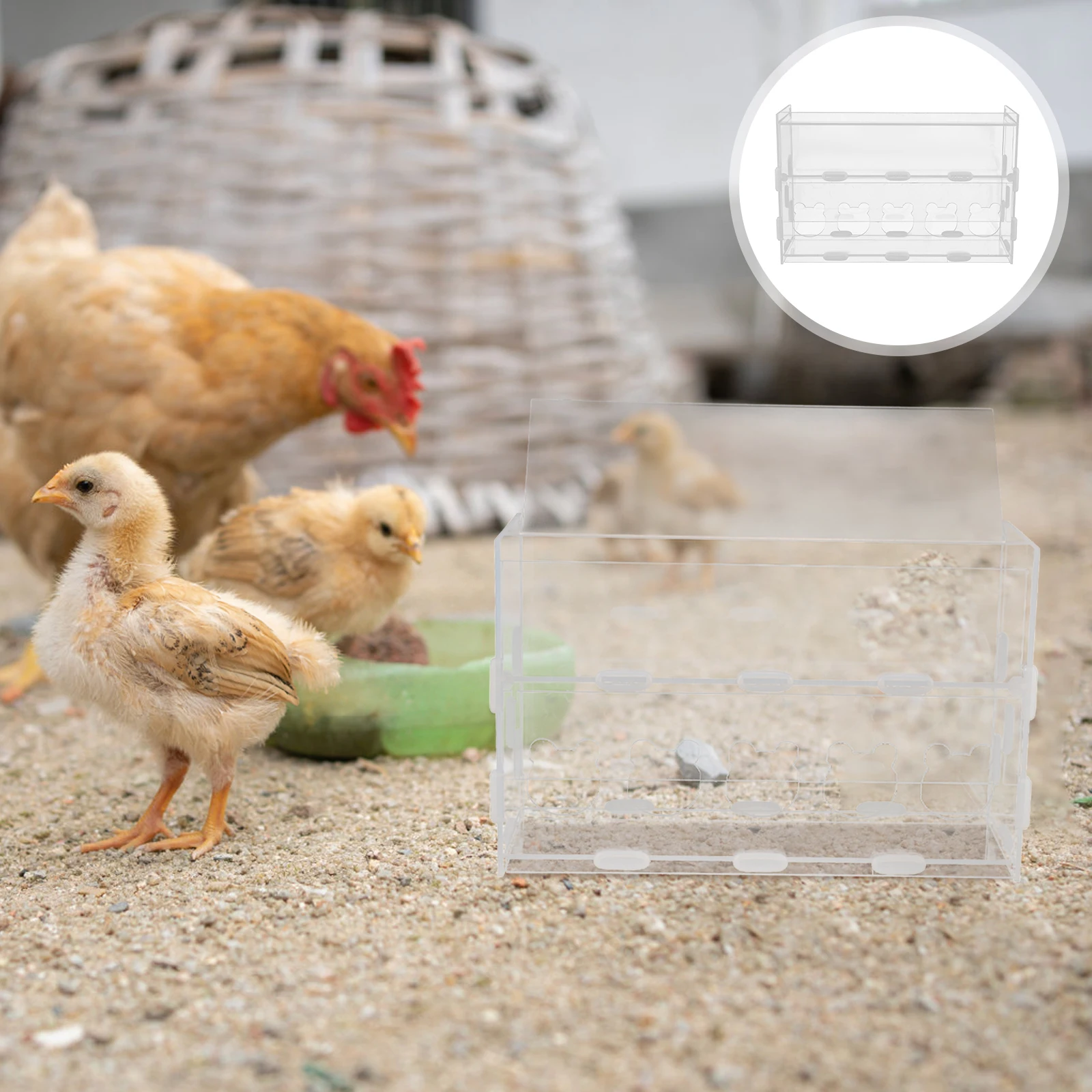 Rutin Feeder Transparent Box Durable Multi-Hole Design Easy Cleaning Sturdy Acrylic Chicken Water Bowl For Birds Parrots
Rutin Feeder Transparent Box Durable Multi-Hole Design Easy Cleaning Sturdy Acrylic Chicken Water Bowl For Birds Parrots