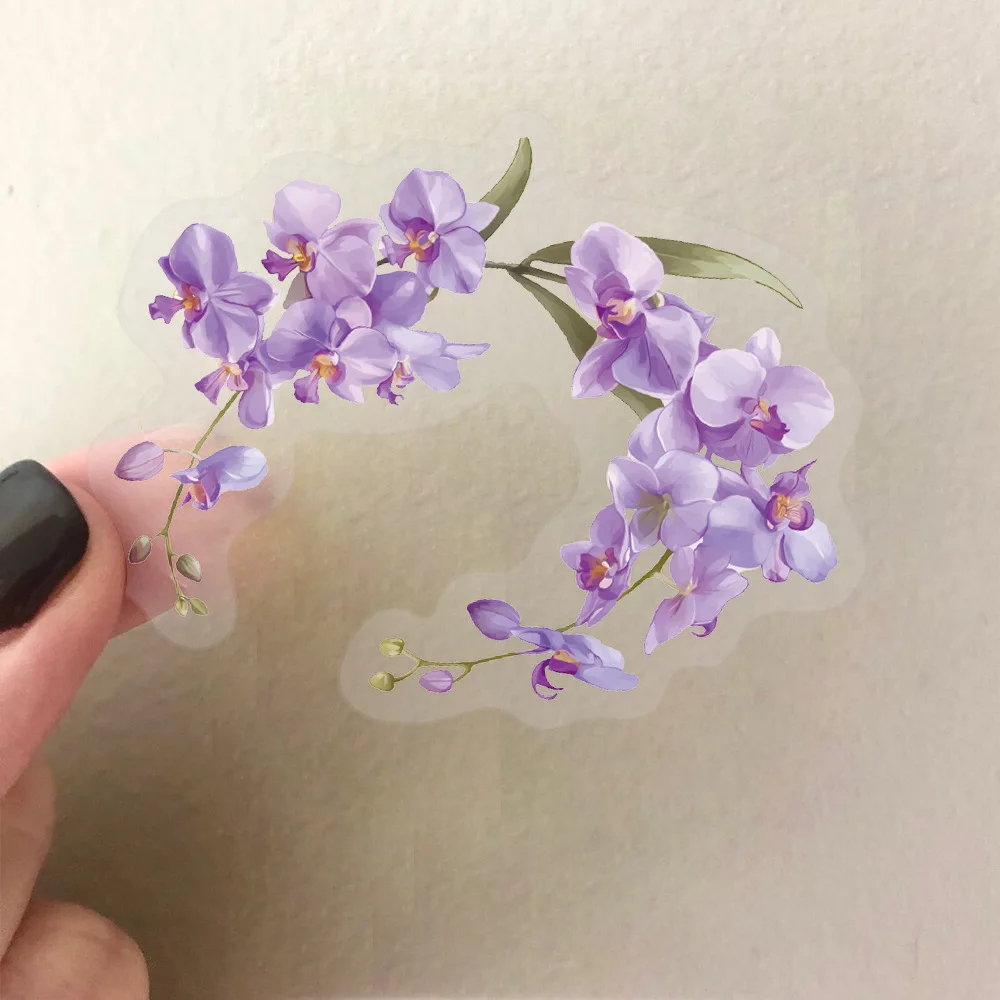 10/50PCS Orchid Grass Sticekrs Flowers Graffiti Transparent Sticker INS Style DIY Fridge Laptop Guitar Car Bike Decal Decoration
10/50PCS Orchid Grass Sticekrs Flowers Graffiti Transparent Sticker INS Style DIY Fridge Laptop Guitar Car Bike Decal Decoration