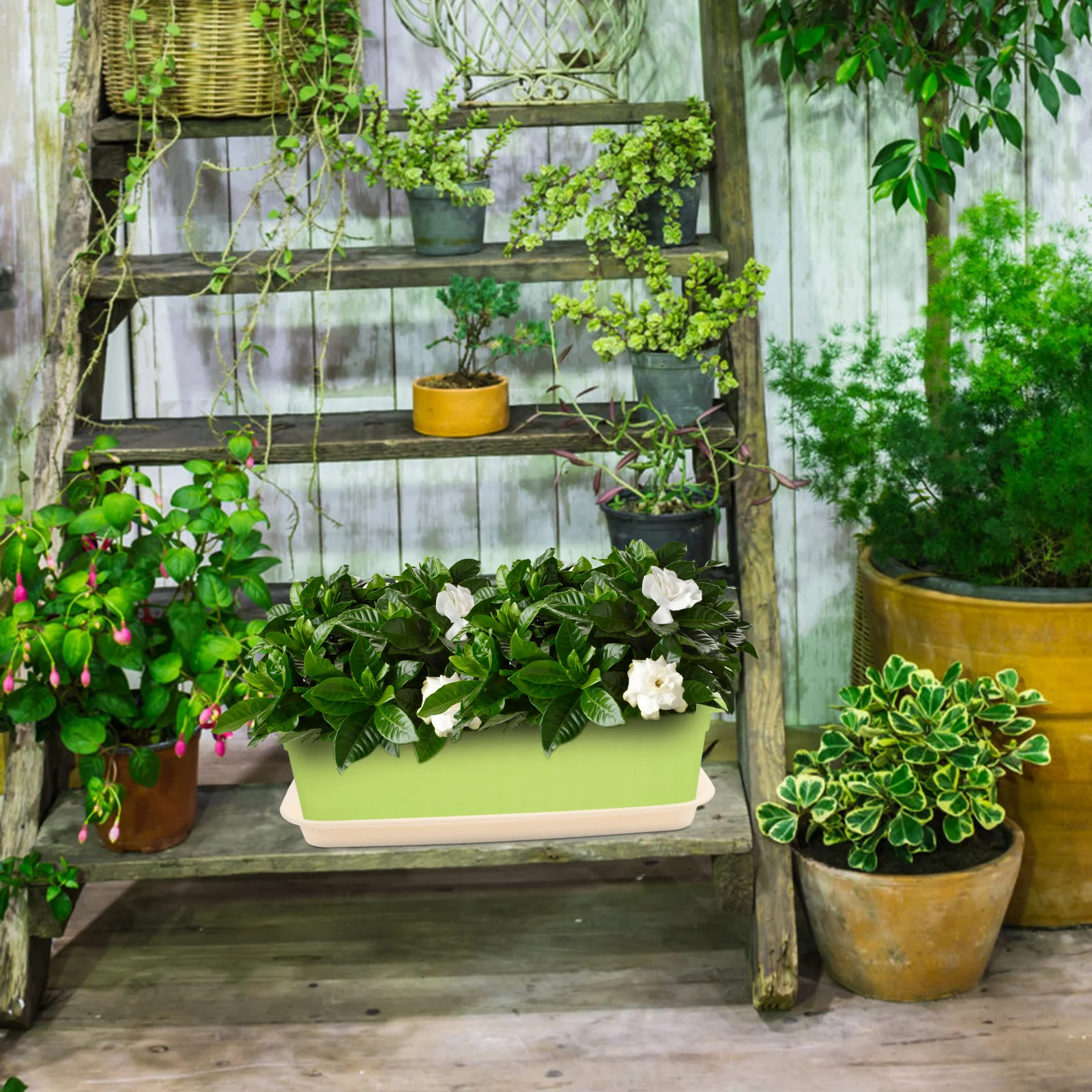 Rectangle Flower Pot Tray Plant Pots Indoor Seedling Trays Resin Saucer Shelf Drip
Rectangle Flower Pot Tray Plant Pots Indoor Seedling Trays Resin Saucer Shelf Drip