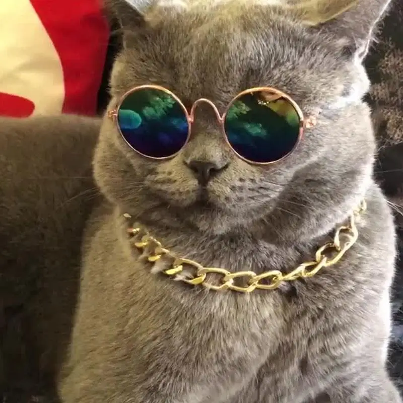 Dog Cat Sunglasses Vintage Round Pet Glasses Headwear Pet Accessories Pet Photos Props Accessories Home Decor Kitten Pet Product
Dog Cat Sunglasses Vintage Round Pet Glasses Headwear Pet Accessories Pet Photos Props Accessories Home Decor Kitten Pet Product