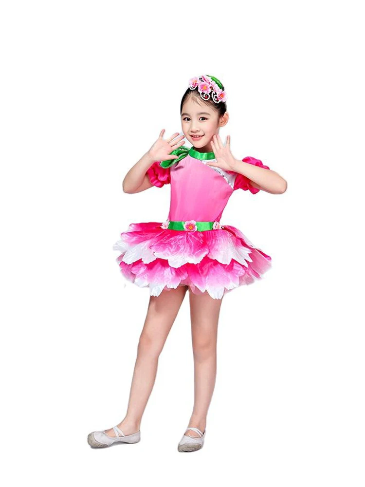 Pink Fancy Dress Flower Dancewear Girls Dance Costume Salsa Dance Dress Of Girl Dance Wear
Pink Fancy Dress Flower Dancewear Girls Dance Costume Salsa Dance Dress Of Girl Dance Wear