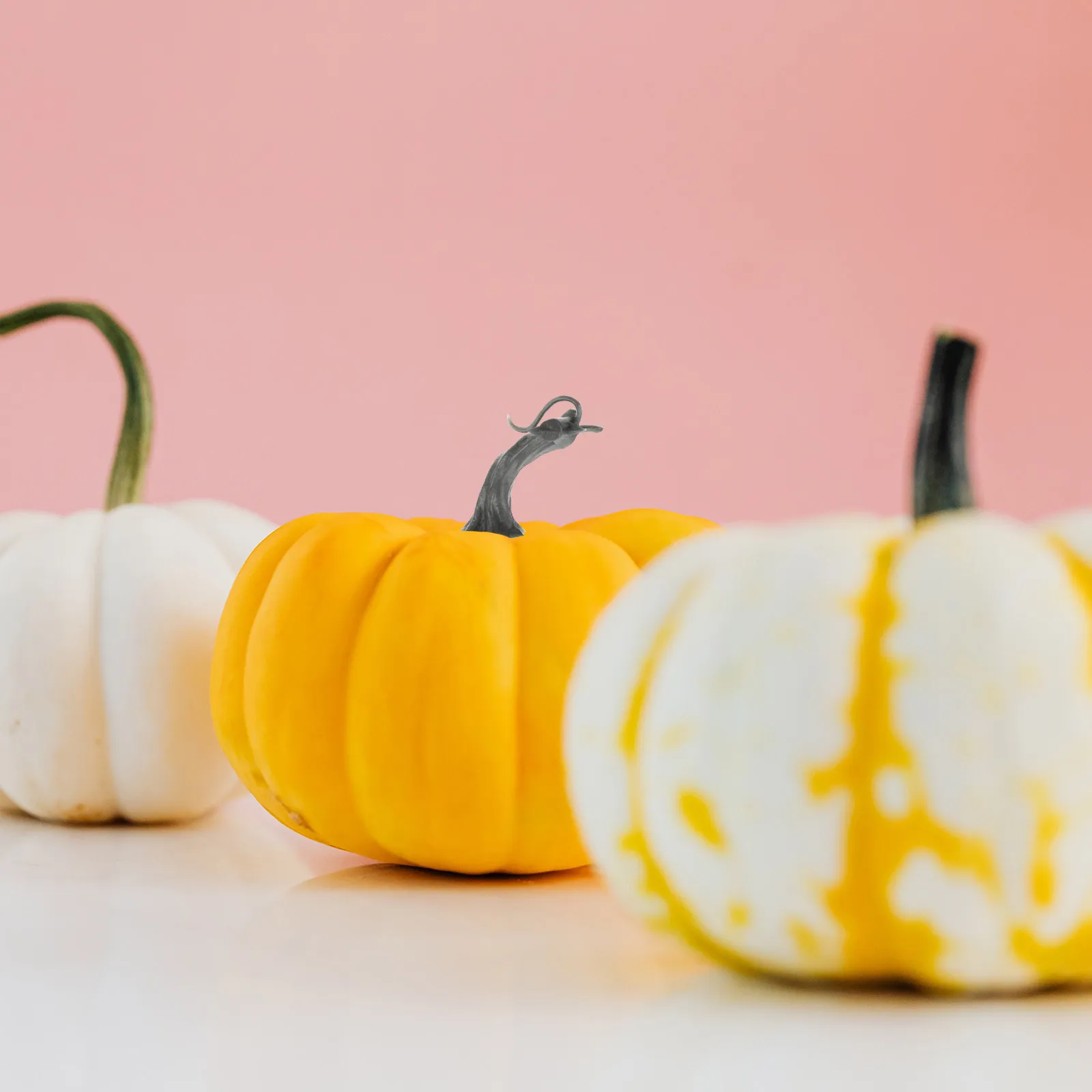 20 Pcs Pumpkin Decoration Accessories Crafting Supplies DIY Fall Decorations Halloween Stem Crafts Plastic
20 Pcs Pumpkin Decoration Accessories Crafting Supplies DIY Fall Decorations Halloween Stem Crafts Plastic