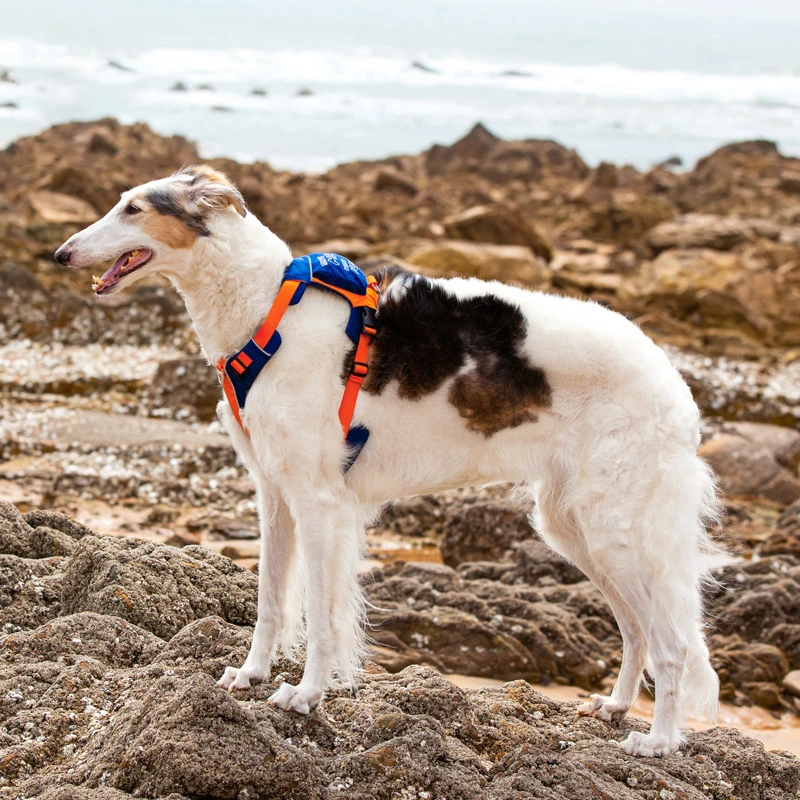 Dog Harness No Pull with Leash Clips Adjustable Soft Padded Reflective Vest with Easy Control Handle for Large Dogs
Dog Harness No Pull with Leash Clips Adjustable Soft Padded Reflective Vest with Easy Control Handle for Large Dogs
