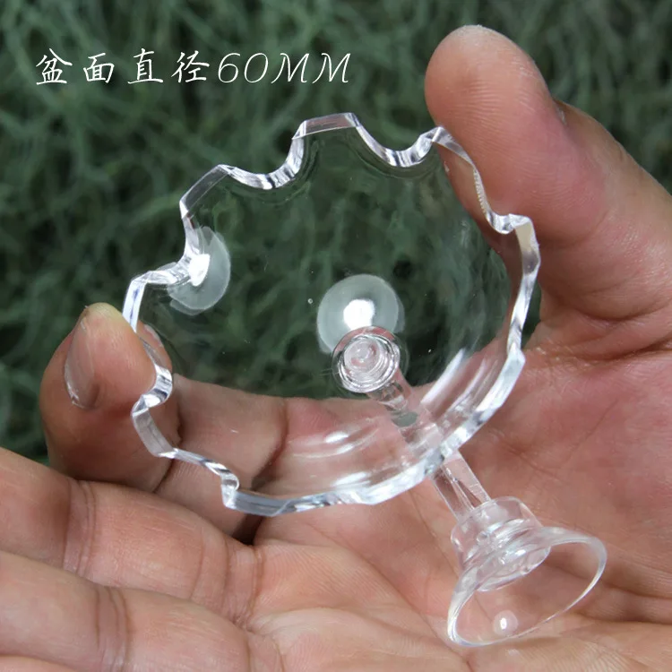 Fish Tank Acrylic Aerial Aquarium Feeder Tray Shrimp Aquarium Accessories Fish Feeder Glass Transparent Feeding Tube
Fish Tank Acrylic Aerial Aquarium Feeder Tray Shrimp Aquarium Accessories Fish Feeder Glass Transparent Feeding Tube
