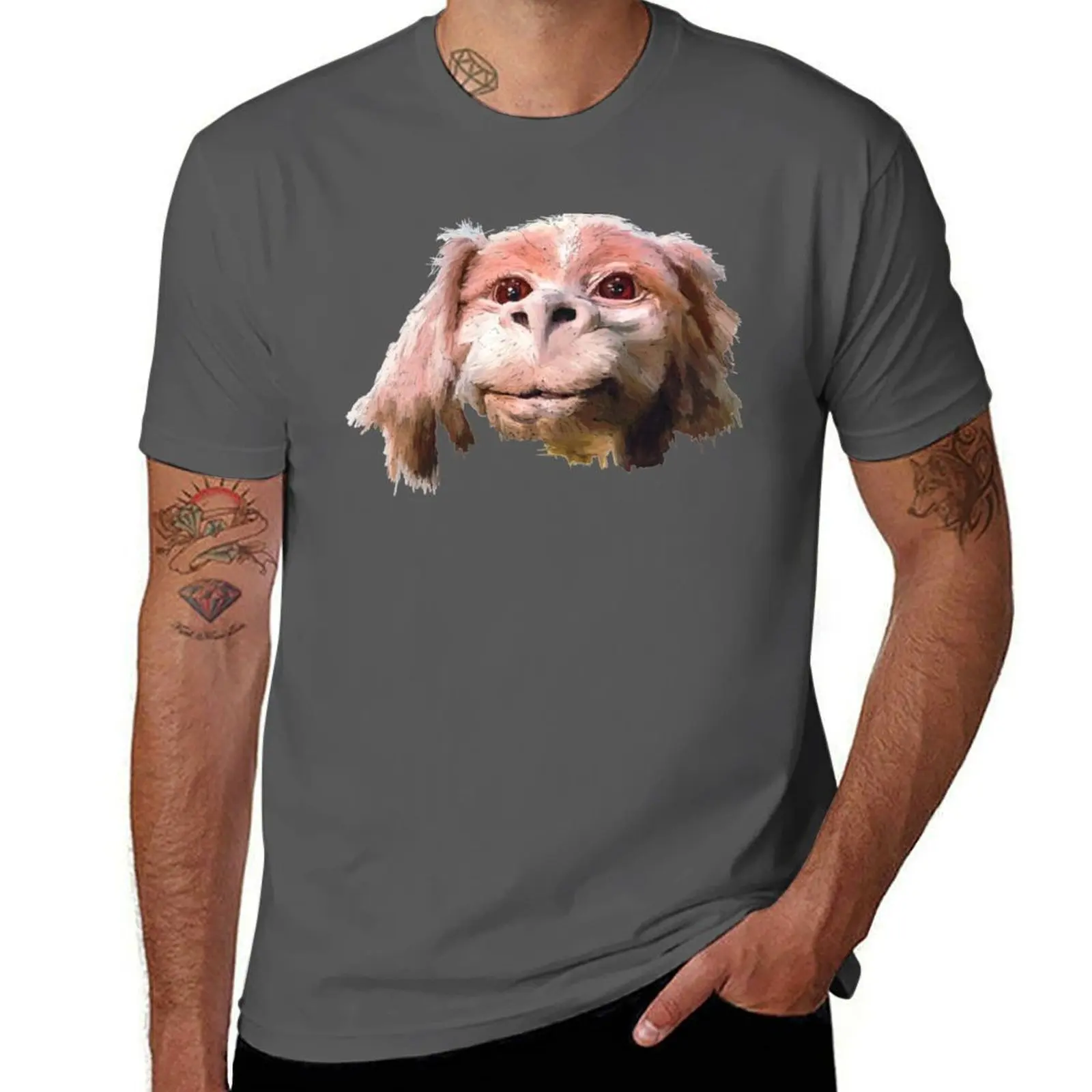 Luck a Falkor Dragon Premium T-Shirt Fashion Pattern Printed Tee Shirt
Luck a Falkor Dragon Premium T-Shirt Fashion Pattern Printed Tee Shirt