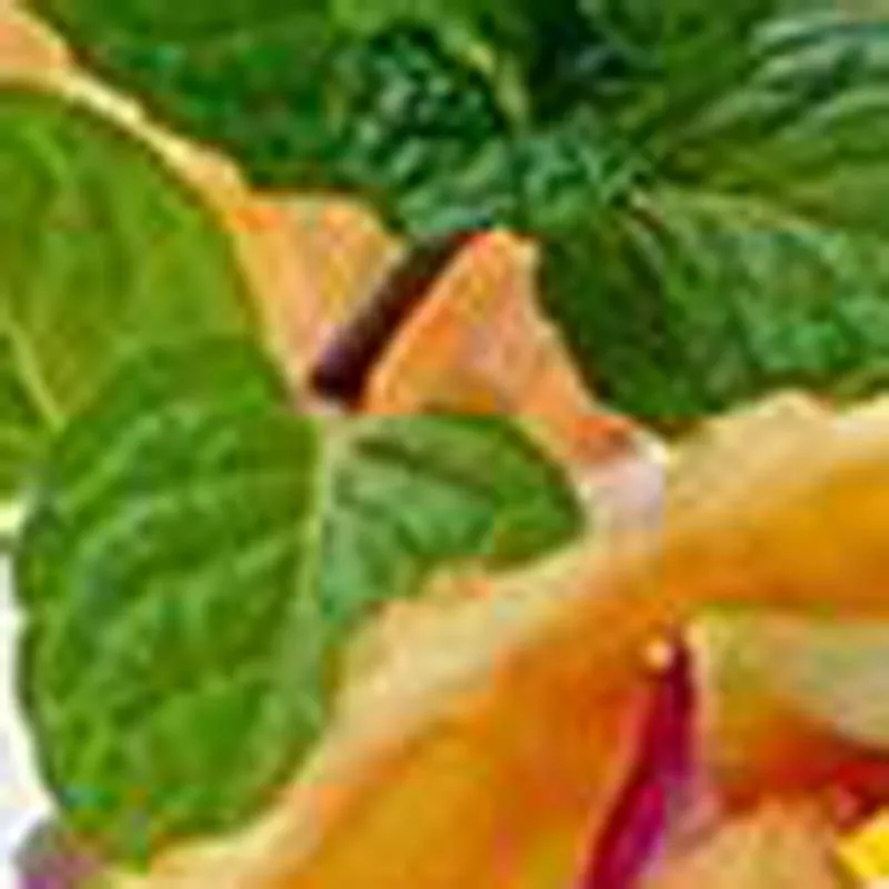 Машина для изготовления круглых вафельных рожков для мороженого с двумя формами, поставщики оборудования для производства вафельных стаканчиков для мороженого
Машина для изготовления круглых вафельных рожков для мороженого с двумя формами, поставщики оборудования для производства вафельных стаканчиков для мороженого