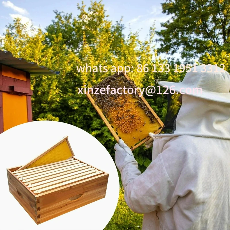 Customizable 10-Frame Medium Super Bee Box, Wax Coated Bee Hives with Beehives Frames
Customizable 10-Frame Medium Super Bee Box, Wax Coated Bee Hives with Beehives Frames