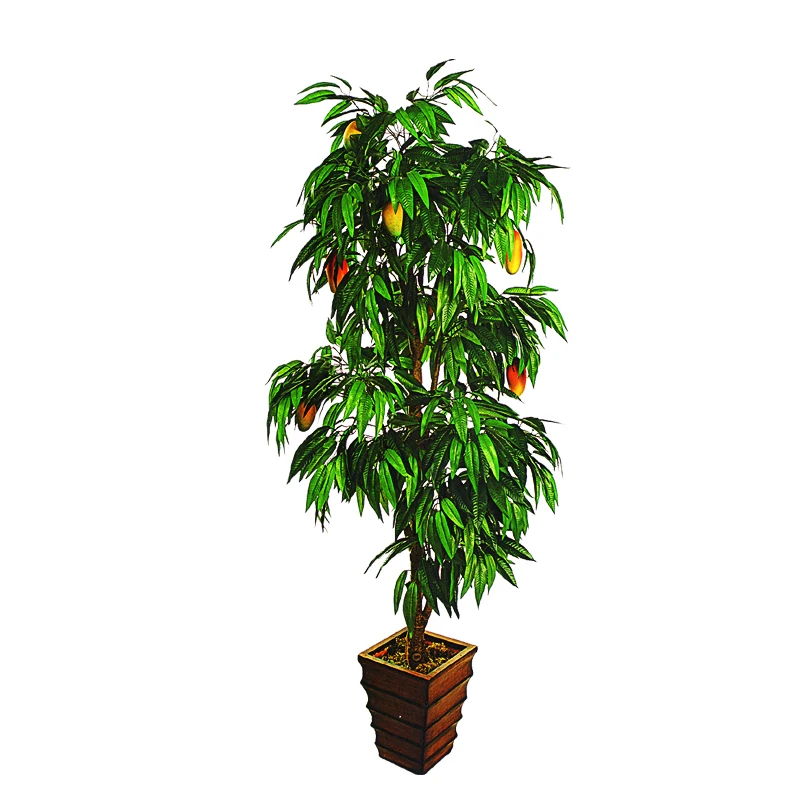 Artificial Plants Suppliers Tropical Plastic Fruit Tree Artificial Mango Tree For Office Hotel Party Decoration
Artificial Plants Suppliers Tropical Plastic Fruit Tree Artificial Mango Tree For Office Hotel Party Decoration