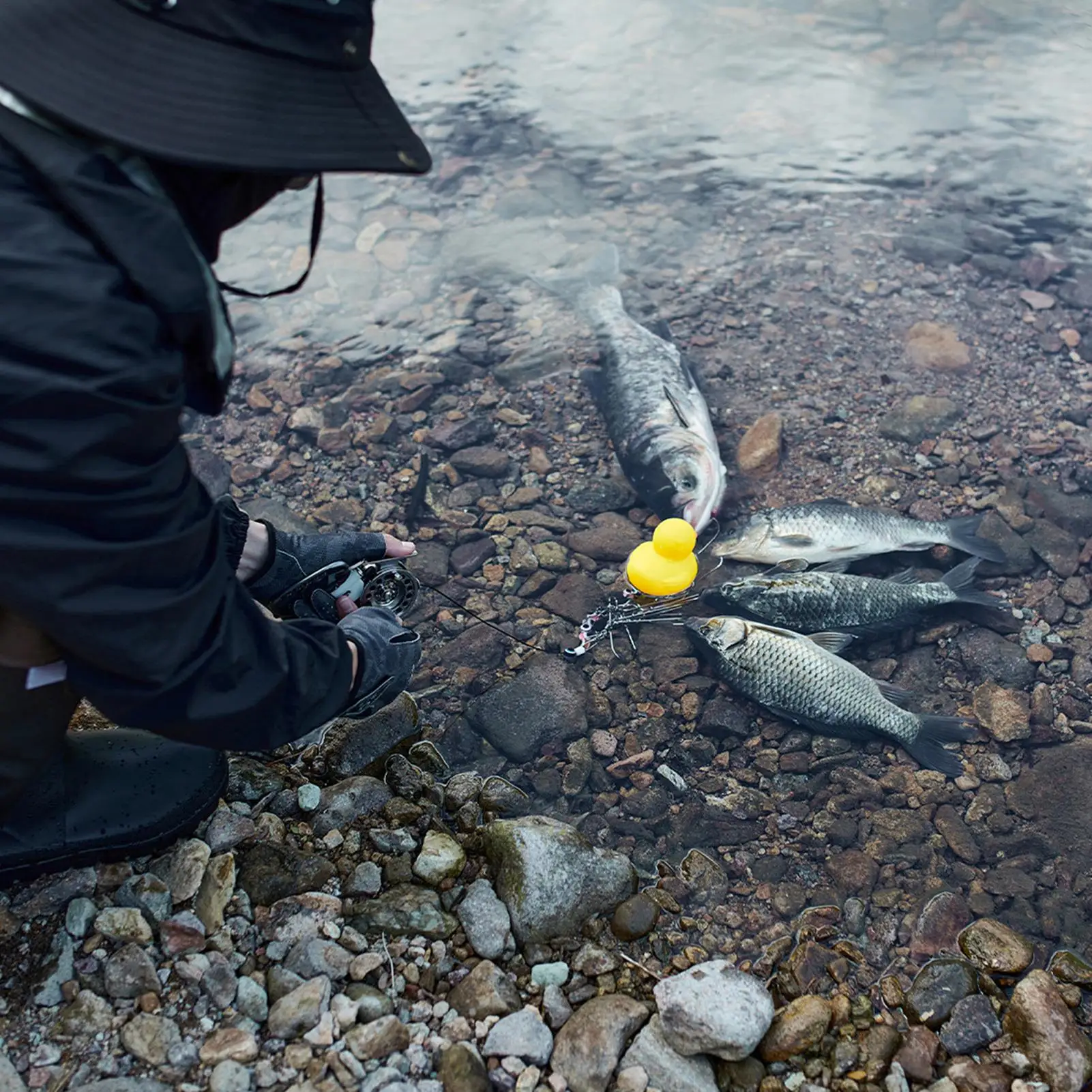 Держатель для рыбы, светящийся сверхмощный легкий стрингер для сома с поворотными замками для соленой пресноводной банки, каяка, реки
Держатель для рыбы, светящийся сверхмощный легкий стрингер для сома с поворотными замками для соленой пресноводной банки, каяка, реки