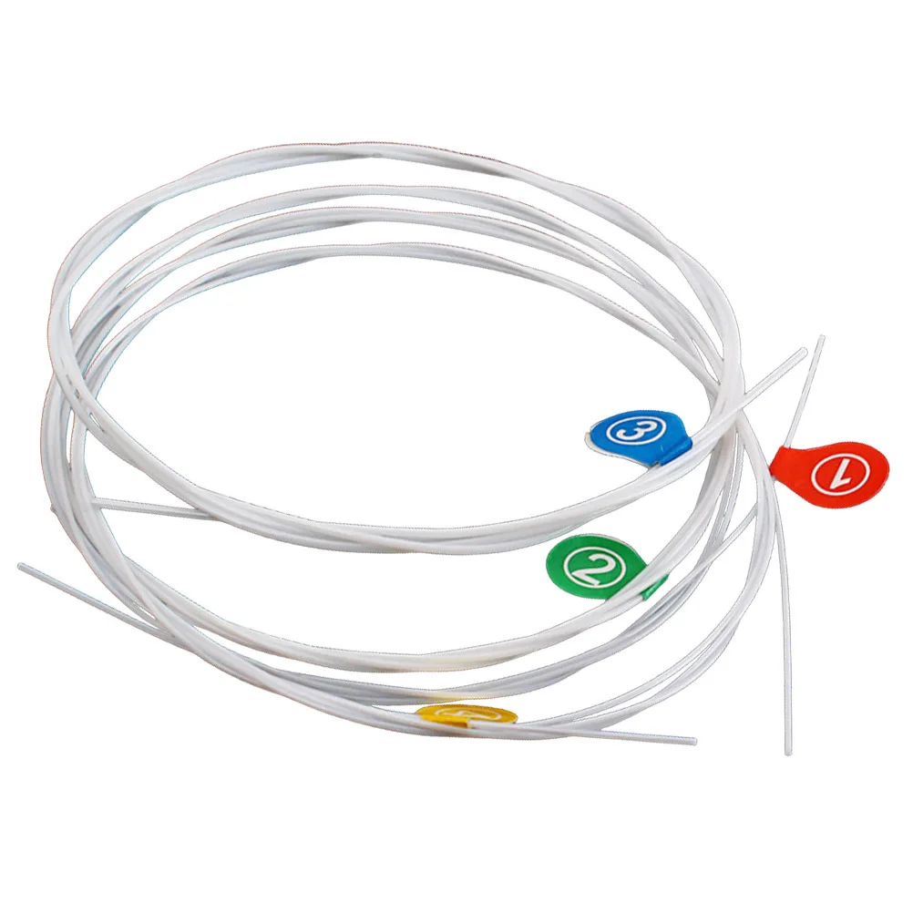 4pcs A/E/C/ Nylon Bright Tone A/E/C/ For Ukulele Durable High Grade For Ukulele Perfect Chord Guitar Accessories 
4pcs A/E/C/ Nylon Bright Tone A/E/C/ For Ukulele Durable High Grade For Ukulele Perfect Chord Guitar Accessories