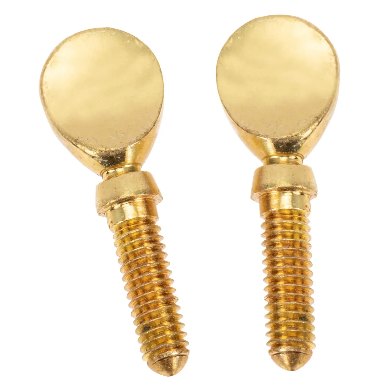 2Pcs Replacement Parts Repairing Supplies Flute Screws Musical Instruments Repair Flute Accessories Accessories
2Pcs Replacement Parts Repairing Supplies Flute Screws Musical Instruments Repair Flute Accessories Accessories