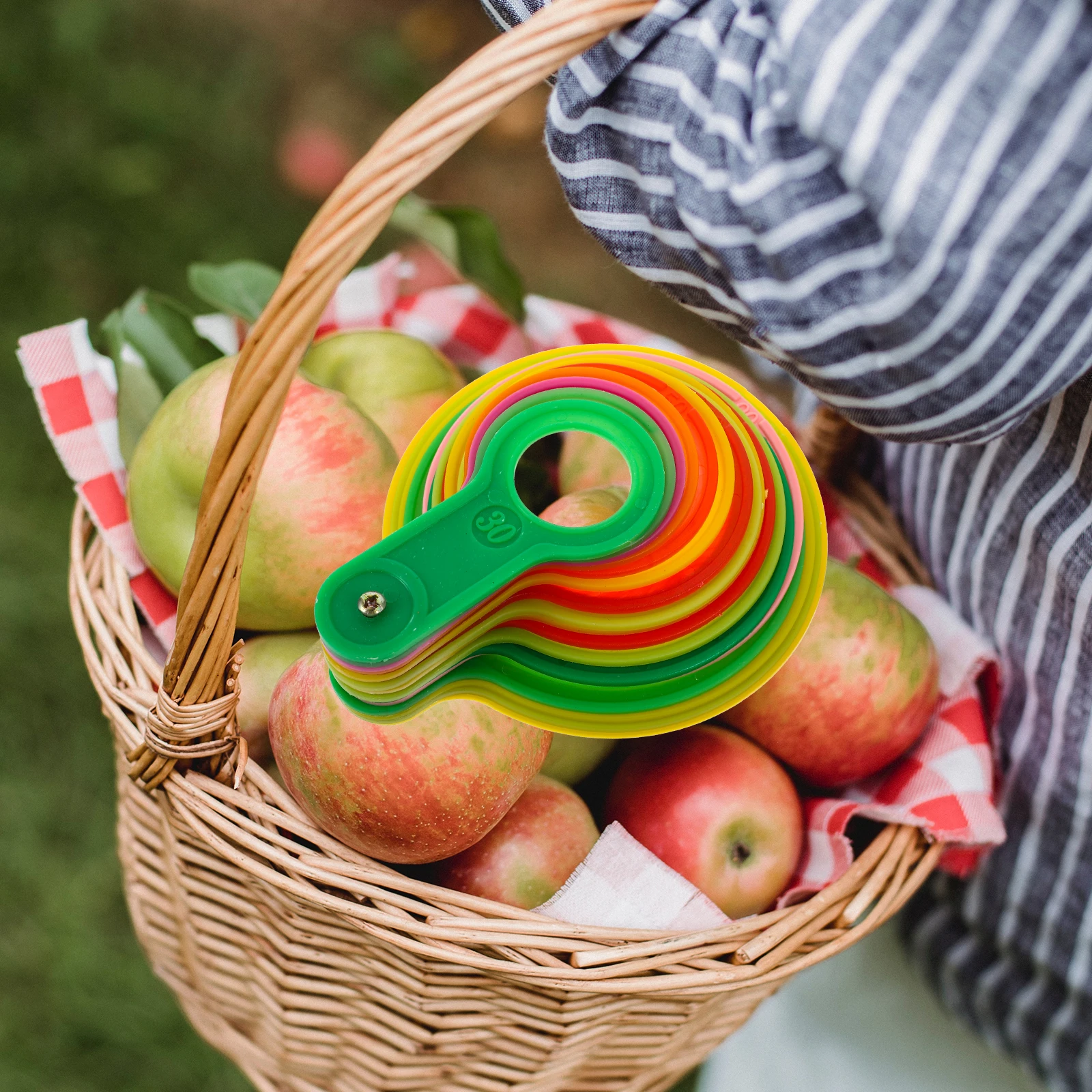 1 set Fruit Measuring Caliper Set Diameter Gauge Rings Grading Tool for Apples Oranges Peaches Citrus Plastic Measuring Lap Farm
1 set Fruit Measuring Caliper Set Diameter Gauge Rings Grading Tool for Apples Oranges Peaches Citrus Plastic Measuring Lap Farm