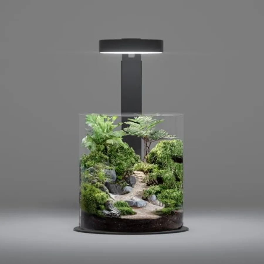 Miniature Terrarium Glass Jar Kit Ultra-Clear Glass Container, Green Neutral Tones, Complete DIY Mini Landscape Set with LED Li
Miniature Terrarium Glass Jar Kit Ultra-Clear Glass Container, Green Neutral Tones, Complete DIY Mini Landscape Set with LED Li