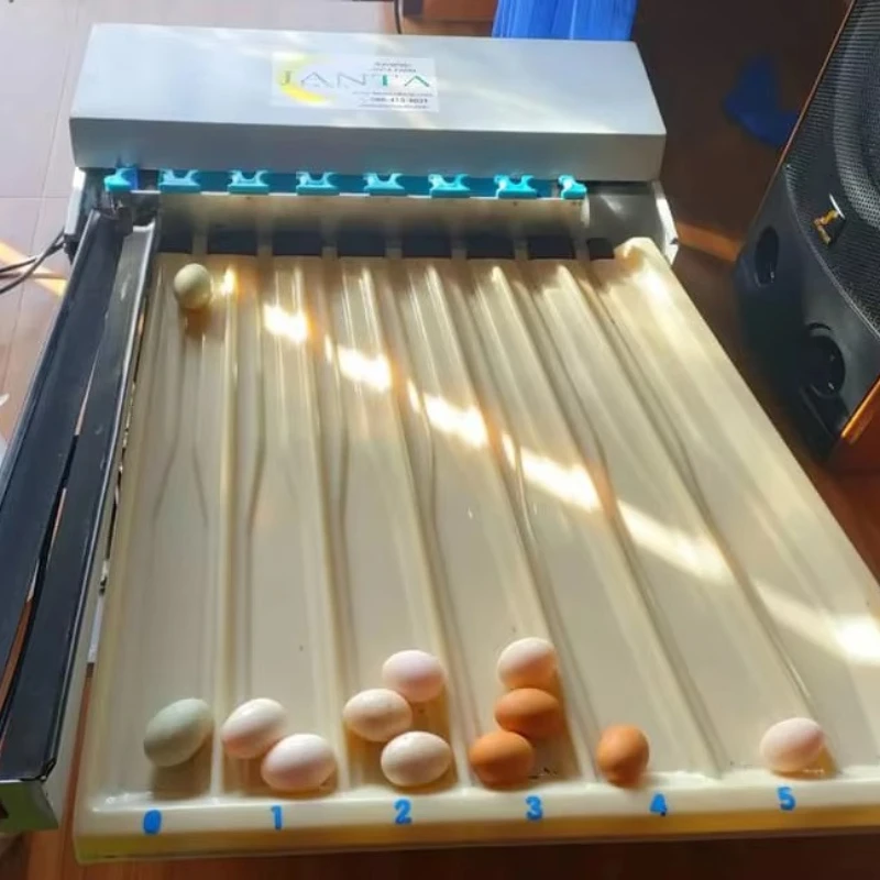 Automatic Egg Sorter Weight Egg Grader Small Capacity 2,000 Eggs Per Hour Digital Scale Capacity
Automatic Egg Sorter Weight Egg Grader Small Capacity 2,000 Eggs Per Hour Digital Scale Capacity