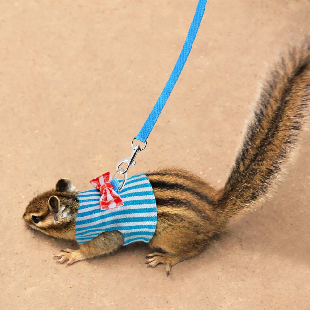 Harness With Leash Soft Breathable Lightweight Cute Cats Ferret Bunny Chinchilla Pet Accessories Small Pet
Harness With Leash Soft Breathable Lightweight Cute Cats Ferret Bunny Chinchilla Pet Accessories Small Pet