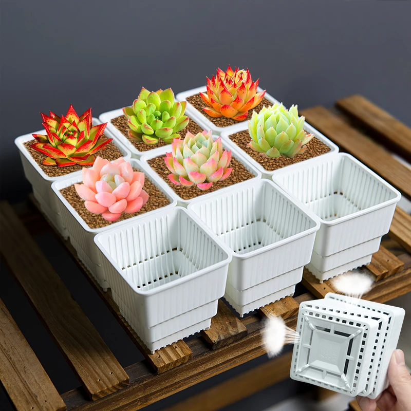 Набор из 10 квадратных горшков Meshpot 7 см белого цвета для суккулентов, кактусов и воздушных растений с дренажным отверстием
Набор из 10 квадратных горшков Meshpot 7 см белого цвета для суккулентов, кактусов и воздушных растений с дренажным отверстием