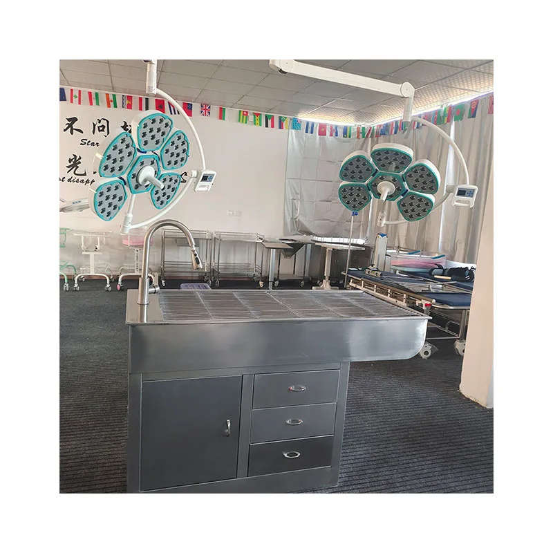 Ветеринарное оборудование Стол для осмотра животных Стол для ветеринарного процесса Стол для утилизации домашних животных
Ветеринарное оборудование Стол для осмотра животных Стол для ветеринарного процесса Стол для утилизации домашних животных