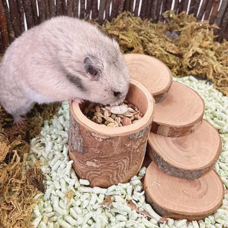 Яблочный деревянный хомяк, кормушка для корма в виде белки, для скалолазания, искусственная еда, миска для домашних животных, клетка для хомяка, аксессуары для продукта
Яблочный деревянный хомяк, кормушка для корма в виде белки, для скалолазания, искусственная еда, миска для домашних животных, клетка для хомяка, аксессуары для продукта